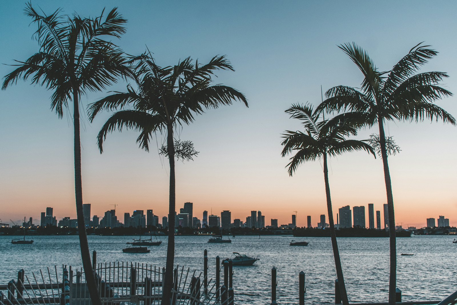 Palm trees silhouetted against the Miami skyline at sunset